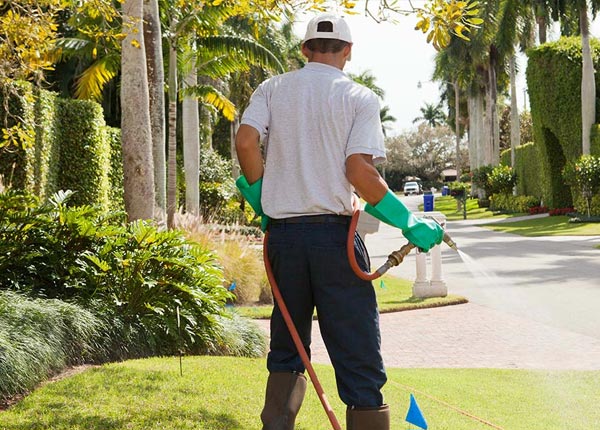 About Steinauer NE Pest Control